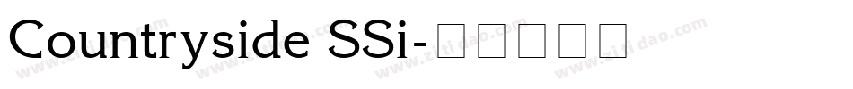 Countryside SSi字体转换
